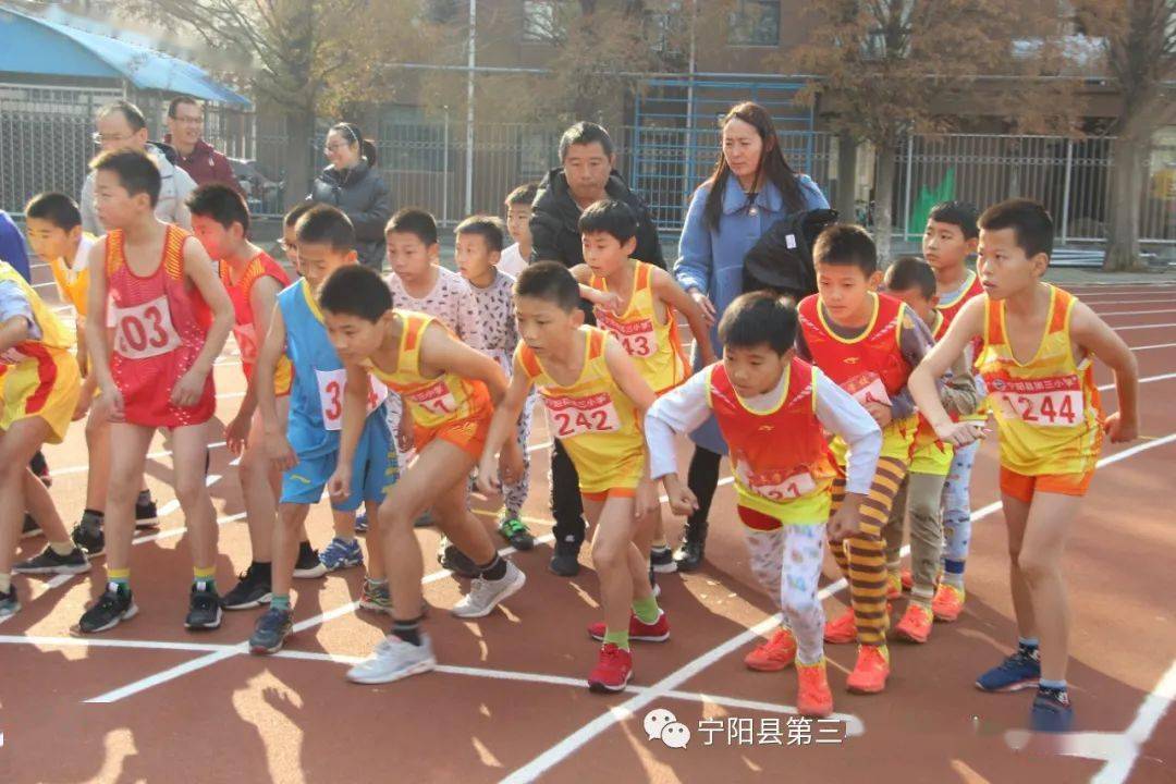 历尽天华成此景 多少功夫使作成—— 宁阳县第三小学文庙小学教育集团