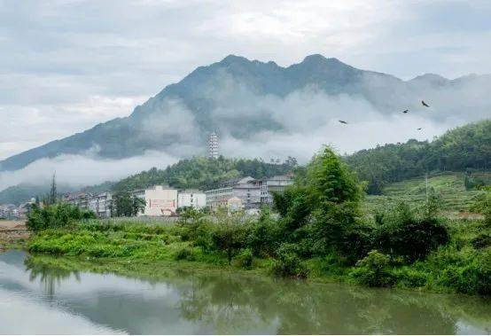 温州苍南各镇gdp2020_苍南警花被杀真实照片(3)