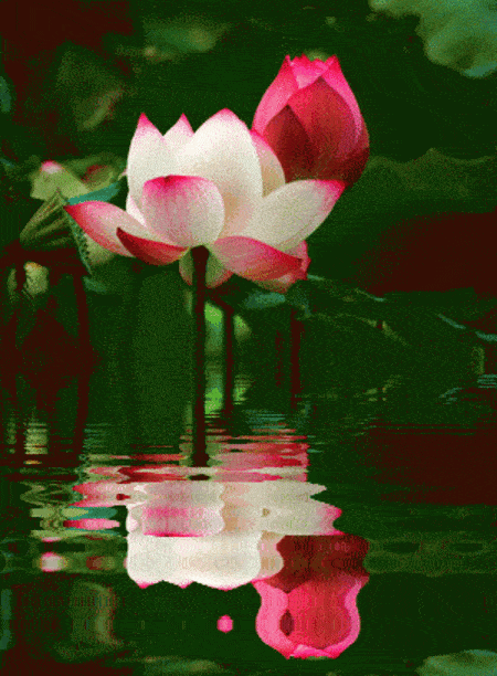 450_612 竖版 竖屏