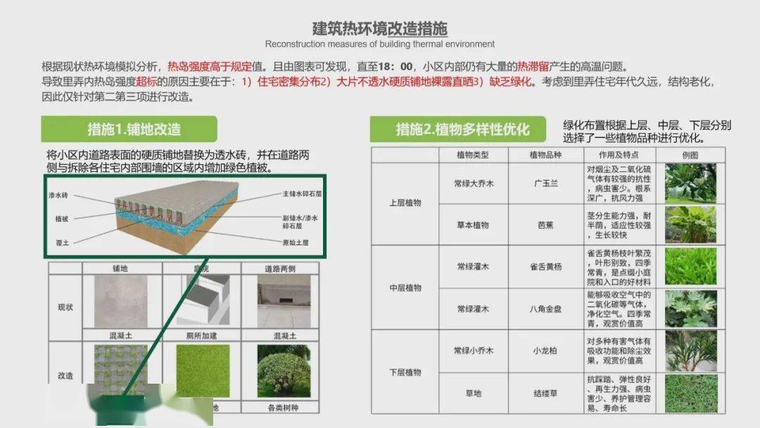 高校优秀作品展示绿色建筑设计技能大赛一等奖作品围墙下的绿色邻里