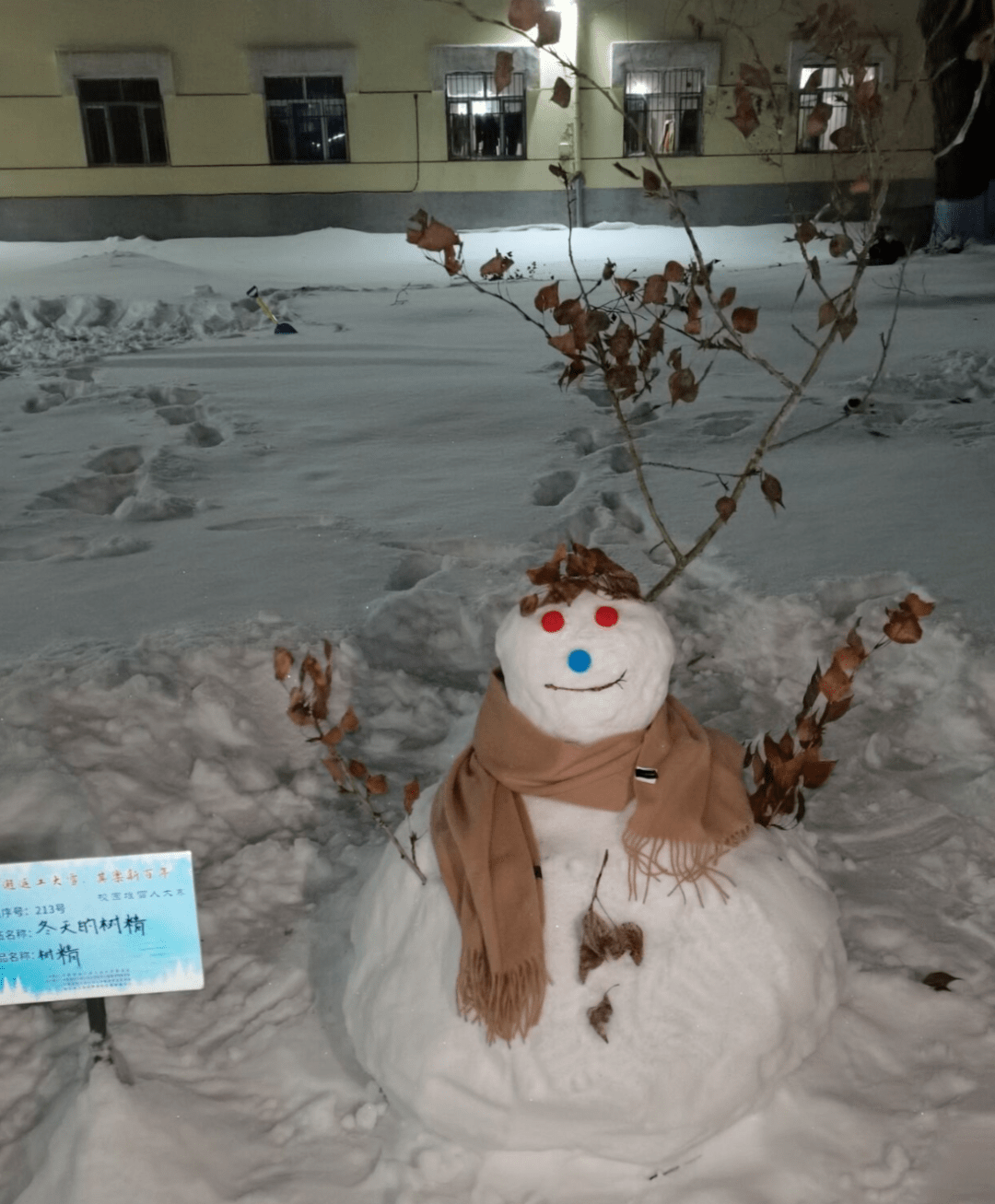 哈工大学子"花式"堆雪人,创意满格!