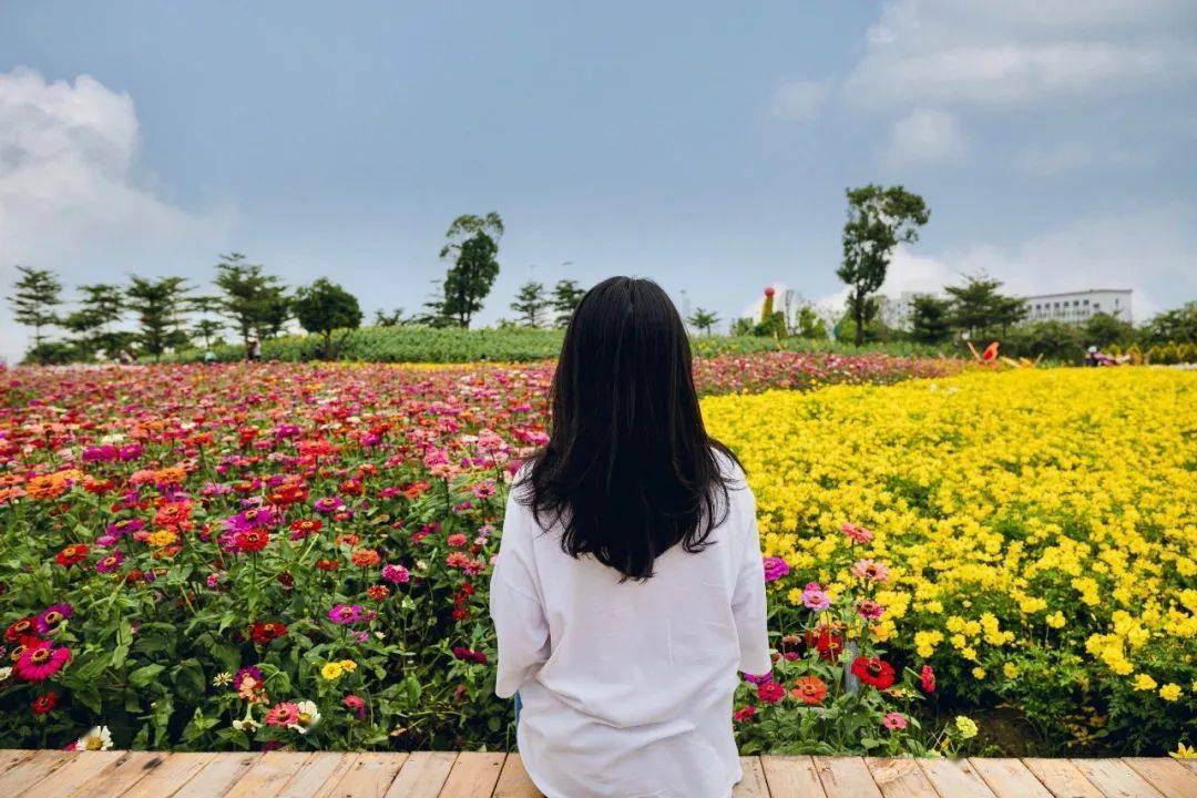 [姬食天下1126]3片浪漫唯美花海！百米花廊！有吃有喝还有风景拍！-BB姬