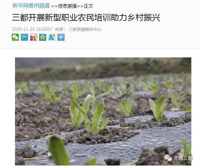 三都水族自治县GDP2020年_三都水族自治县(3)