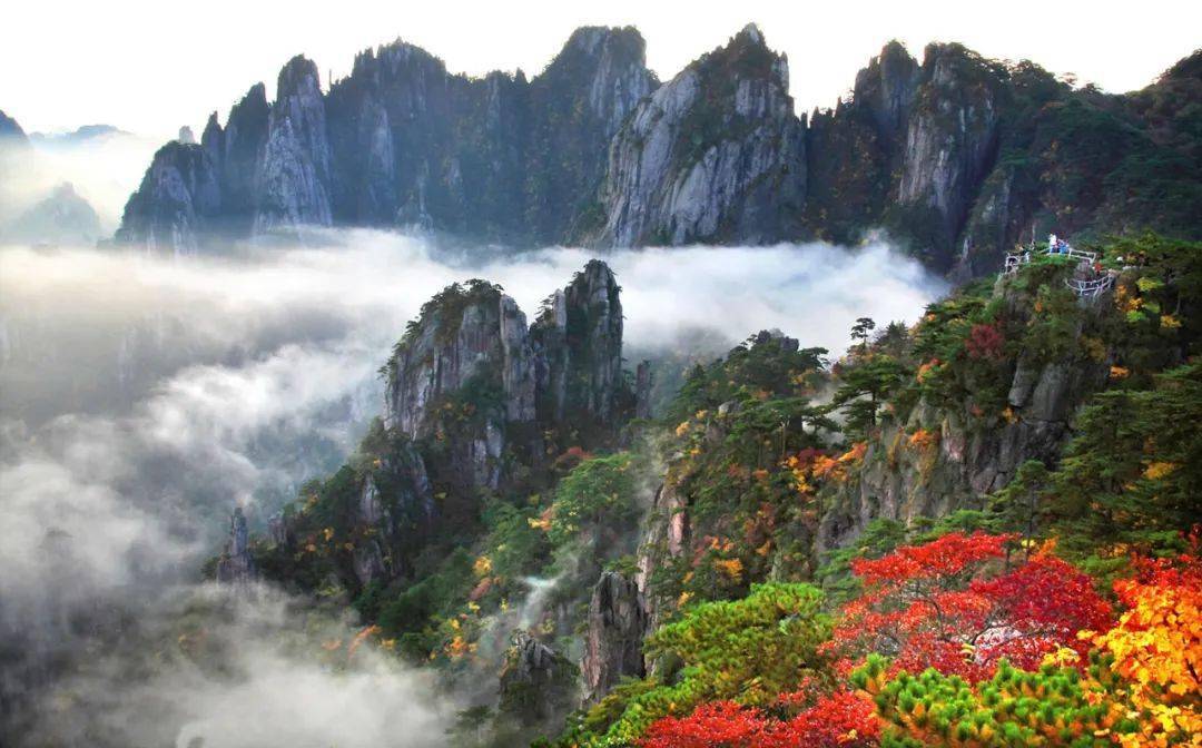 姚育青:黄山的好照片是等出来的