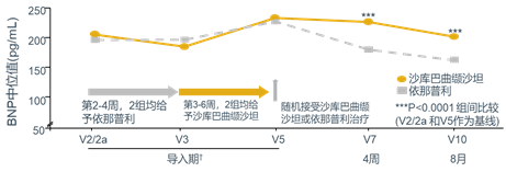 从机制到保护,沙库巴曲缬沙坦在ckd患者中的"欣"希望_手机搜狐网