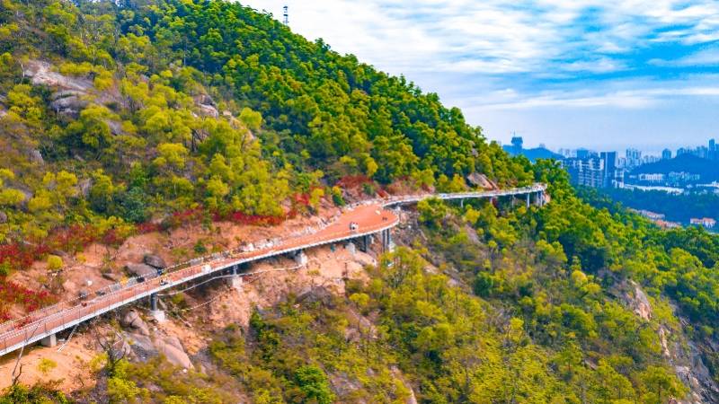 珠海打造城市山体中央公园步道_板樟山