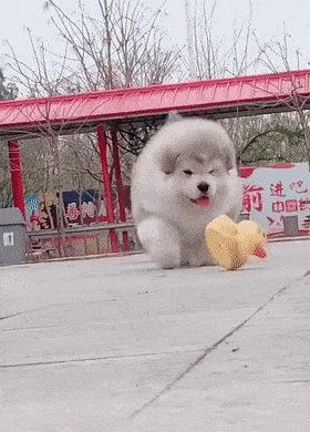 有一种刹车方式,叫做