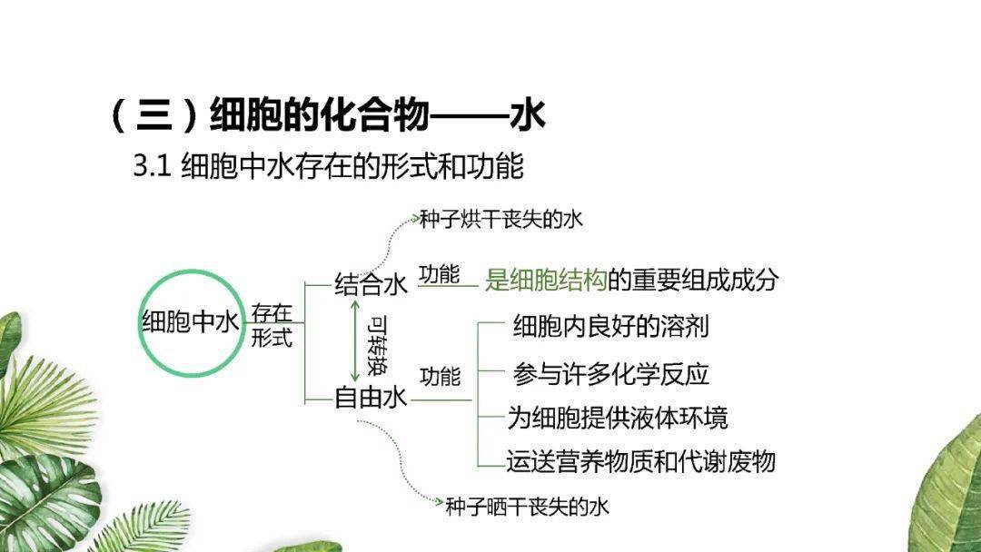 高考|考生必看！附电子版~2021高考一轮| 细胞机器分子组成专题及近三年高考真题压轴练