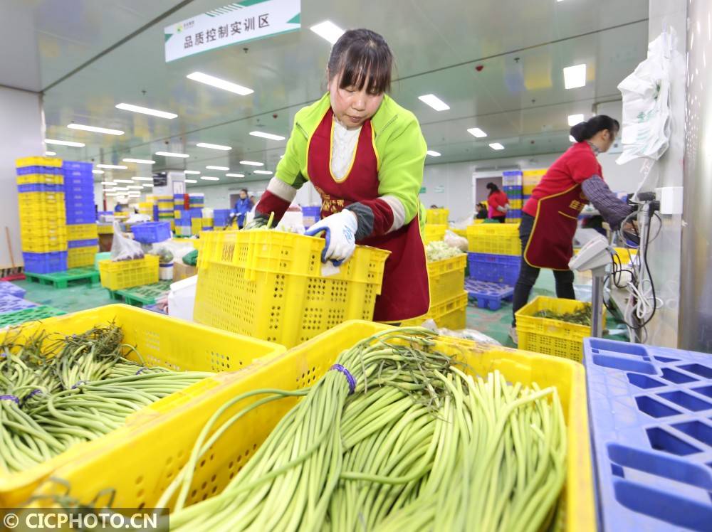 贵州遵义：农产品产供销一条龙确保食品安全