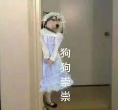 0ebf5dd379a24d03a3f6efea7b50ffb3.jpeg