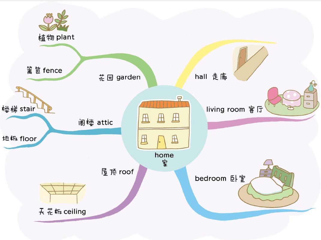 用思维导图记小学英语单词,背单词so easy!