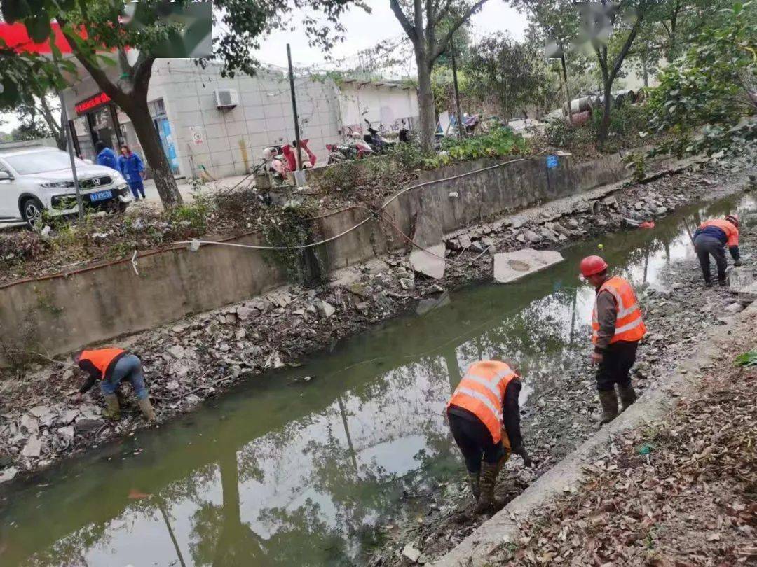 美丽滨海丨清理河道肠梗阻护河清岸绿