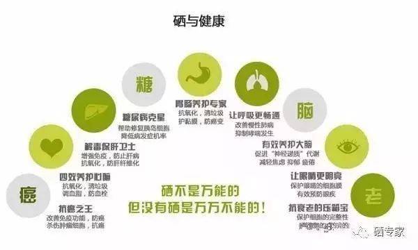 知利国人口_人口普查(2)