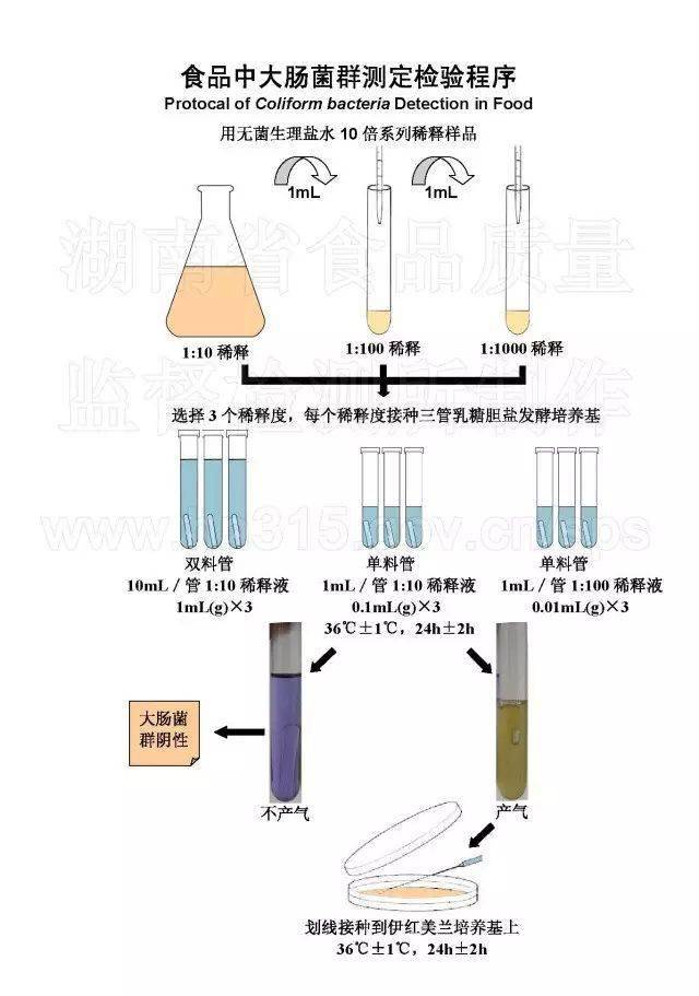 微生物实验室实用挂图(三): 食品中大肠菌群测定检验程序(200 3版)