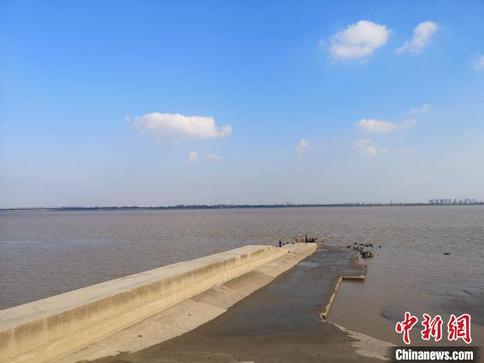 浙江海塘一景. 张煜欢 摄