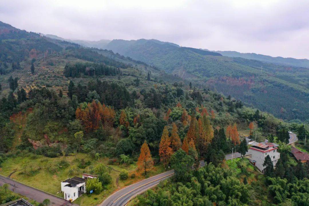 这就是乐山五马坪最美的模样,宁静,致远,五彩斑斓.