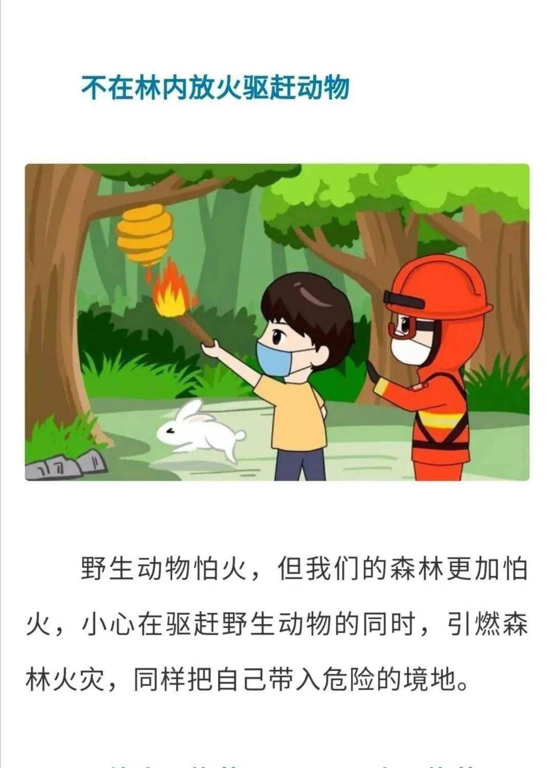 森林草原防灭火森林防火漫画版十不准