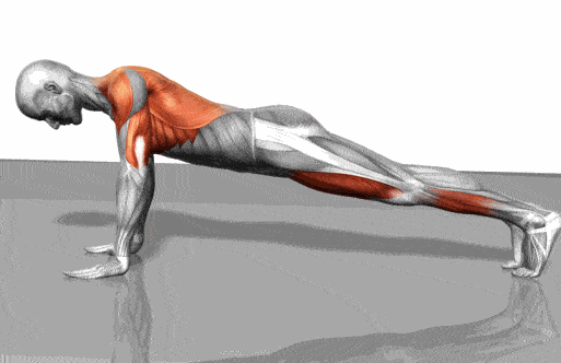 7912b37d6edc4e8d9cf8768f044dfb84.gif