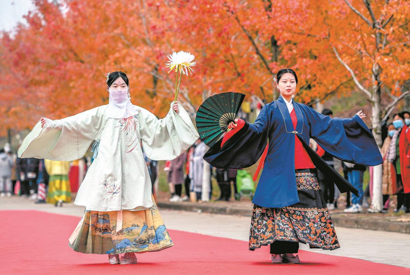 美枫了！武汉高校举办红枫文化节