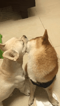 【今日爆笑动态图】都说女人像花瓶,这下我终于相信了