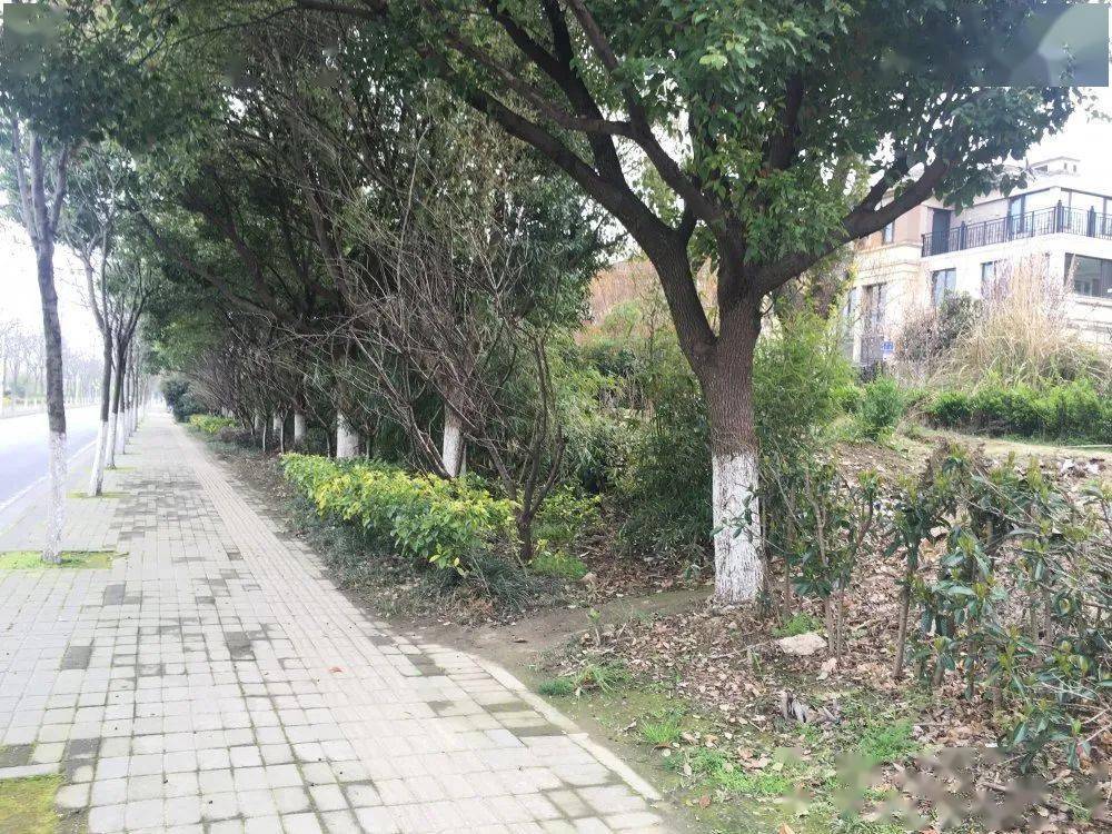 无锡这个区"上新"一大批游园!_清扬新村