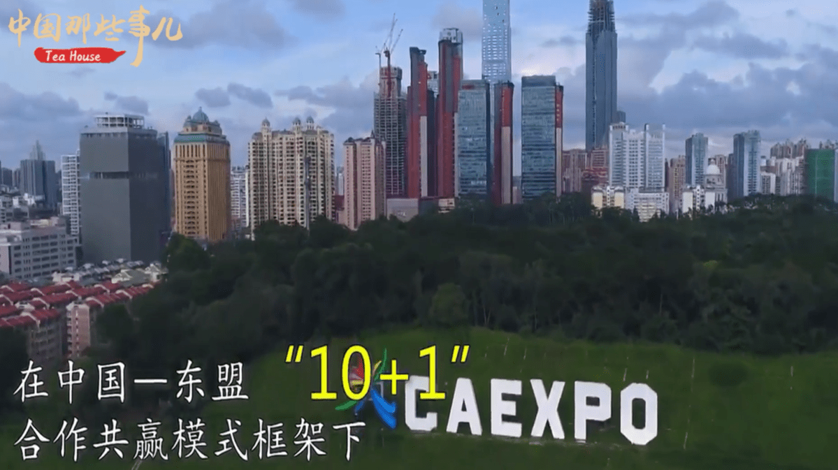 东盟十国有多少人口_东盟十国国旗