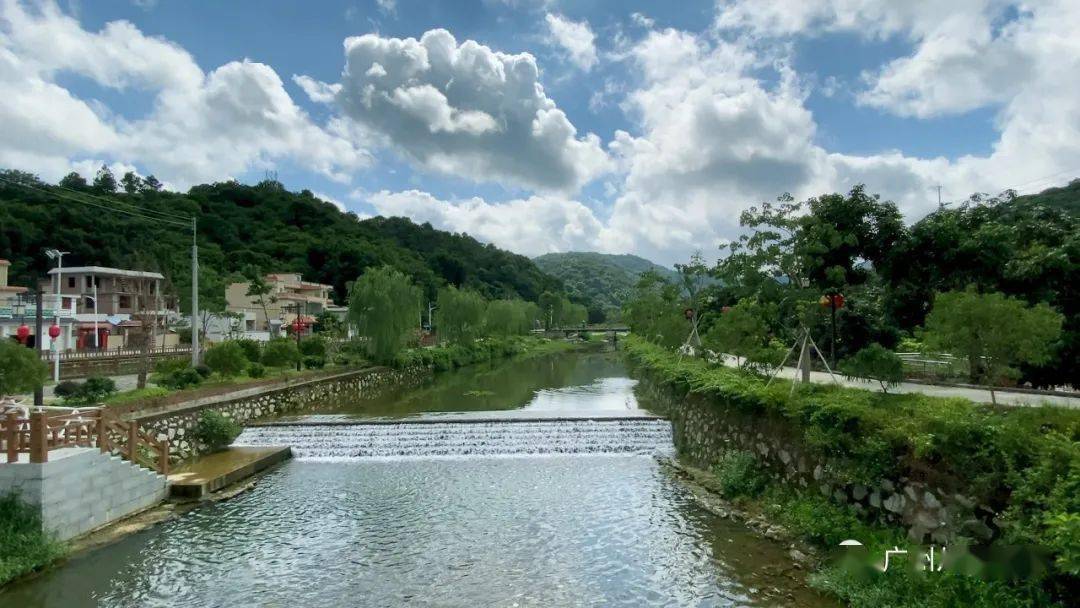 以花为媒广州从化锦二村绘就乡村幸福画卷