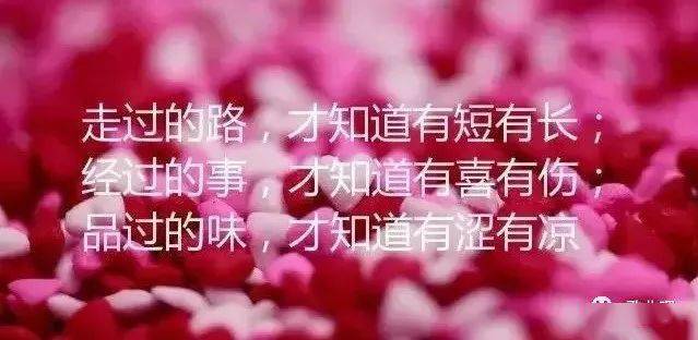 王琪的歌送亲动态曲谱(3)