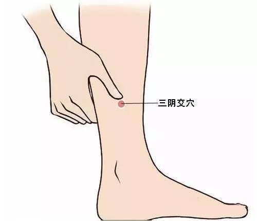 。.止痒穴位之：三阴交穴。在三阴交穴贴艾绒能有效保暖，改善瘀血问题。● 进补有节制冬季进补，怕冷、气