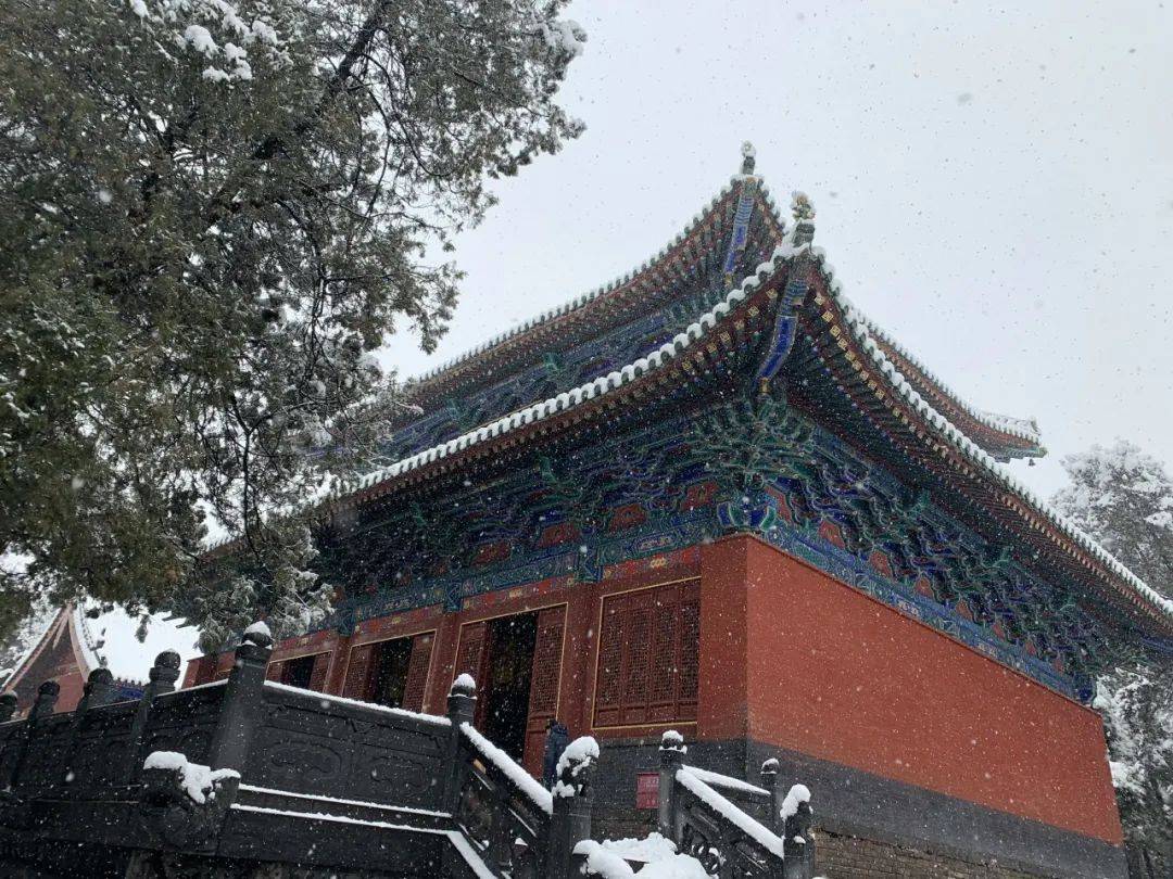 今天我们帮你打包了郑州下雪的所有美图