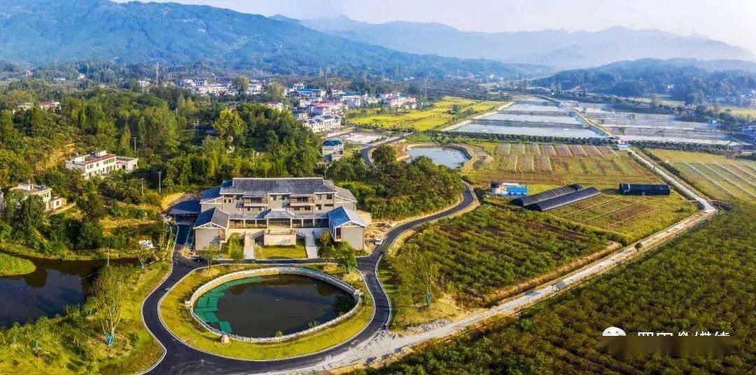 罗田GDP_罗田玉兰(3)