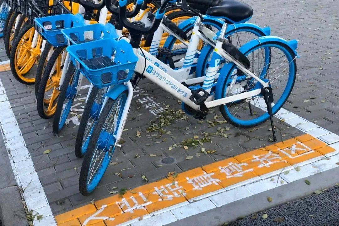 共享单车停车地点怎么规定的 10f33004e7644eb4a02738e7252ae729.jpeg