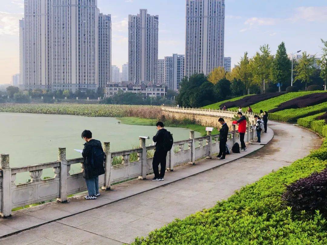 已婚女人与快递员 玩家文档