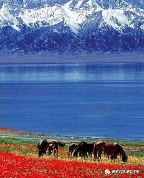 塔里木盆地在哪儿 2b639ba982be4d68af006ffabf323a96.jpeg