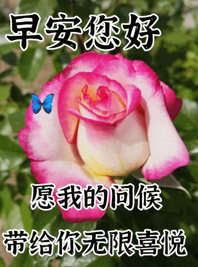 12月2日最漂亮早上好动态表情图片大全,早晨好动大全