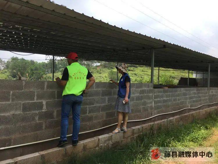 各乡镇吸毒人员占人口比_大田各乡镇人口