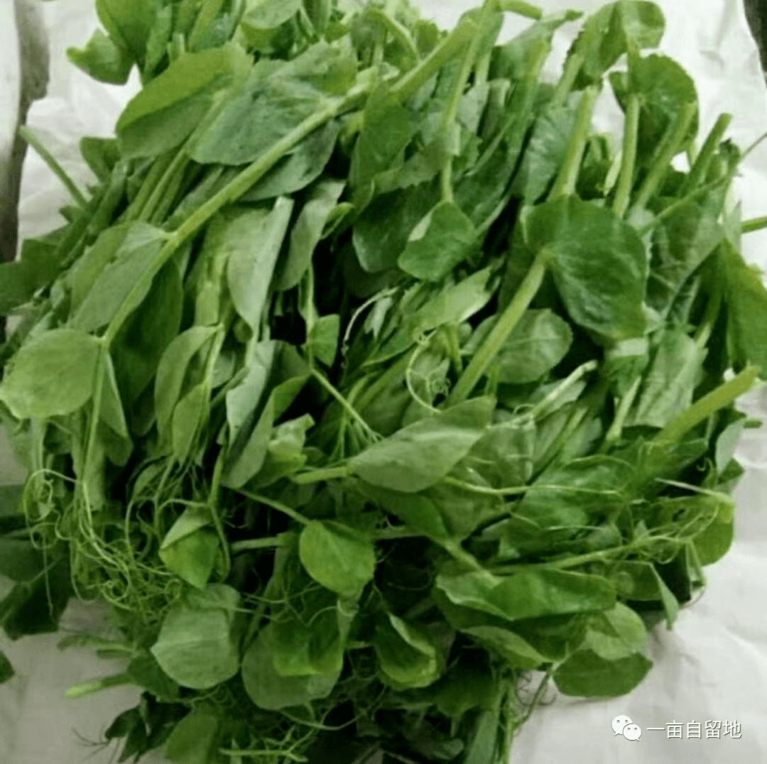 冬天有机蔬菜怎么搭_有机蔬菜图片(3)