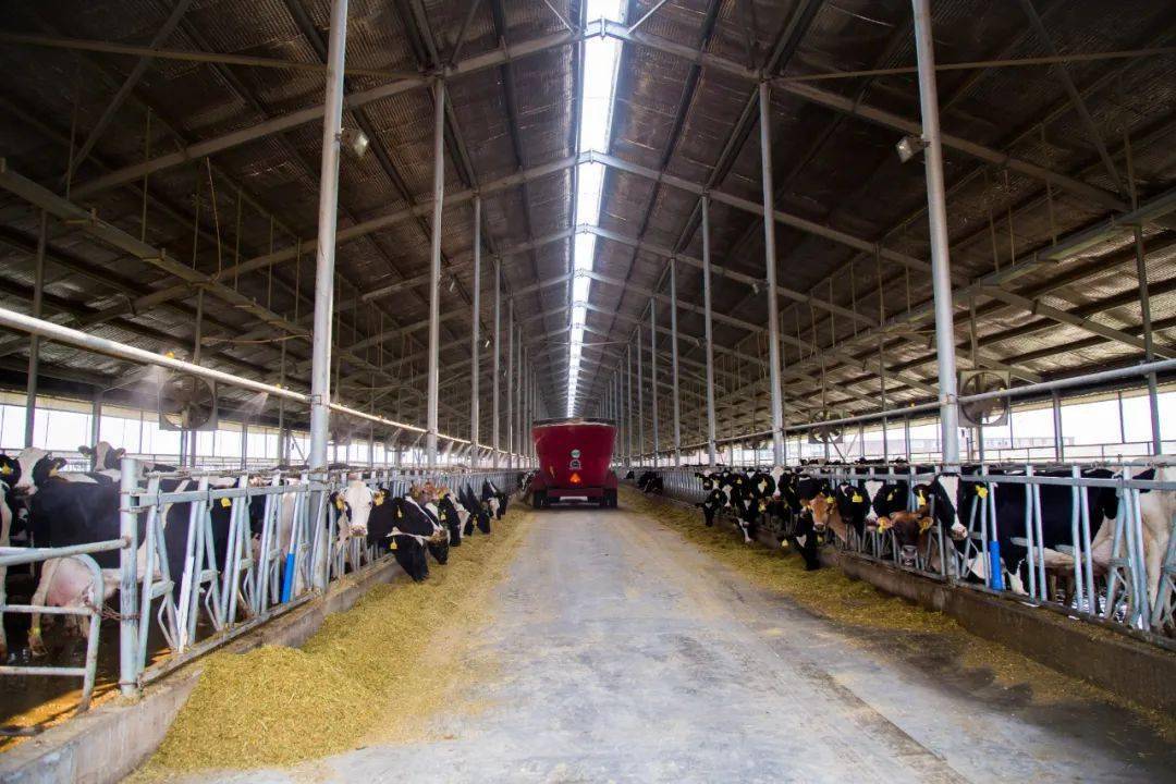 2020宜都gdp是多少_再见2020你好2021图片(2)