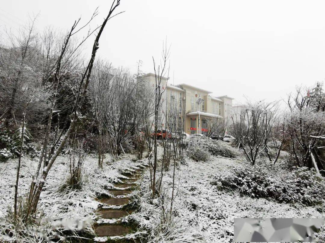 终于下雪啦毕节各地雪景图来了