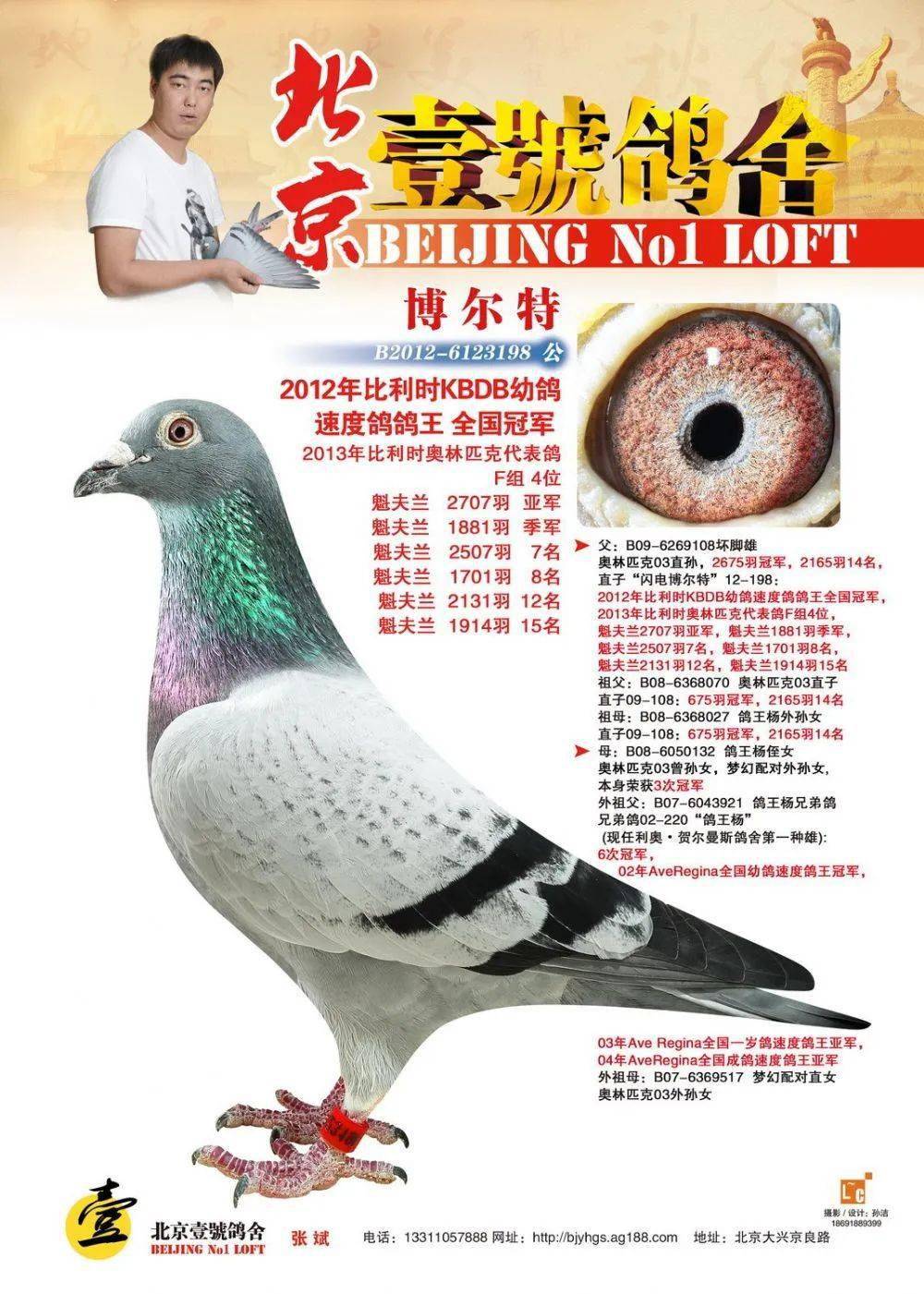 世界上最贵的十羽鸽子