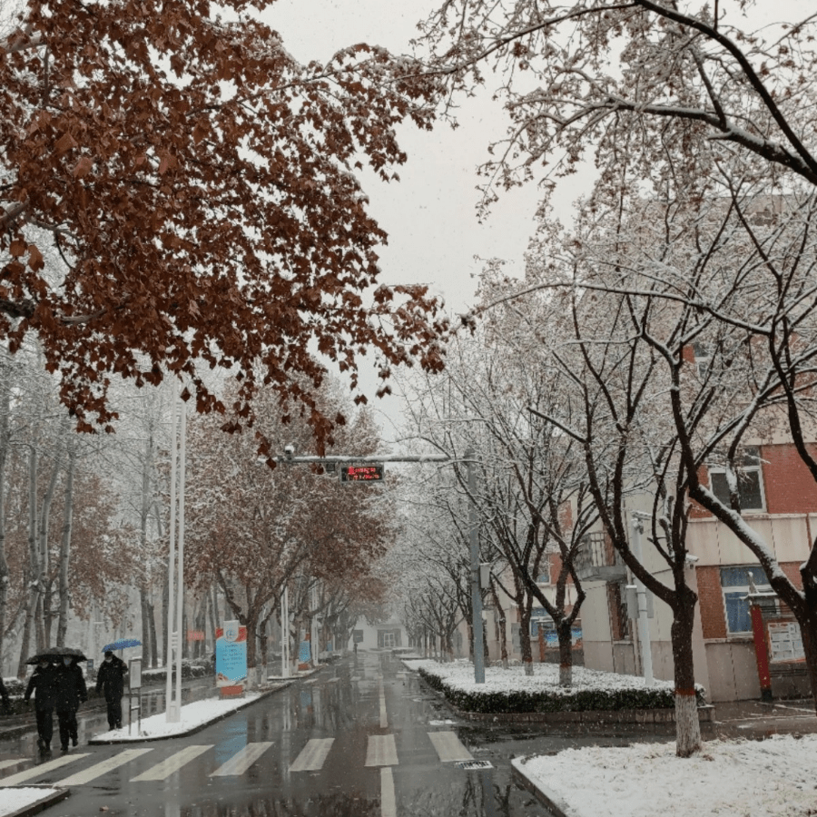 广东什么时候能入冬呀 87993b2bf90947dbb0e06ead50aec43c.png