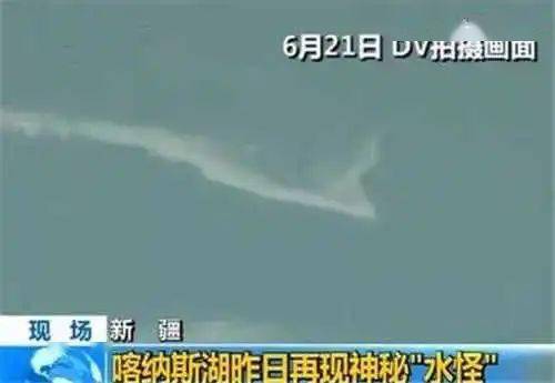 世界上真实拍到的不明生物 d9ace15e70d74dfebd78ade45977a9bd.jpeg