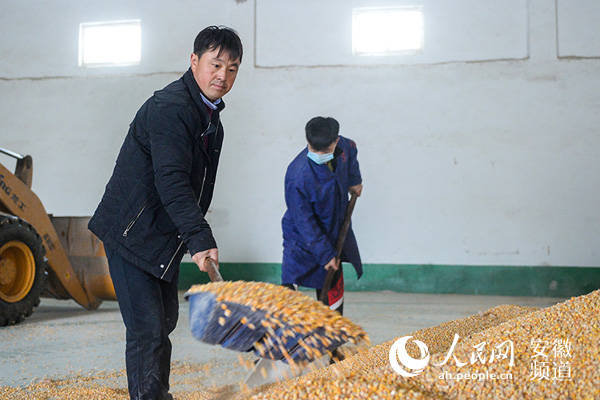 亳州谯城区：构建现代化产业体系 推动农产品绿