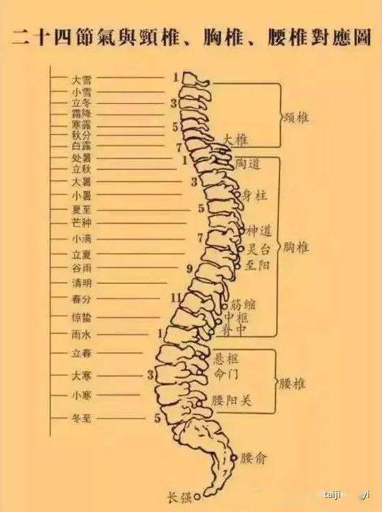 马尾神经从椎管里面下来有好多,到最后只—根下来,它非常敏感,一动弹