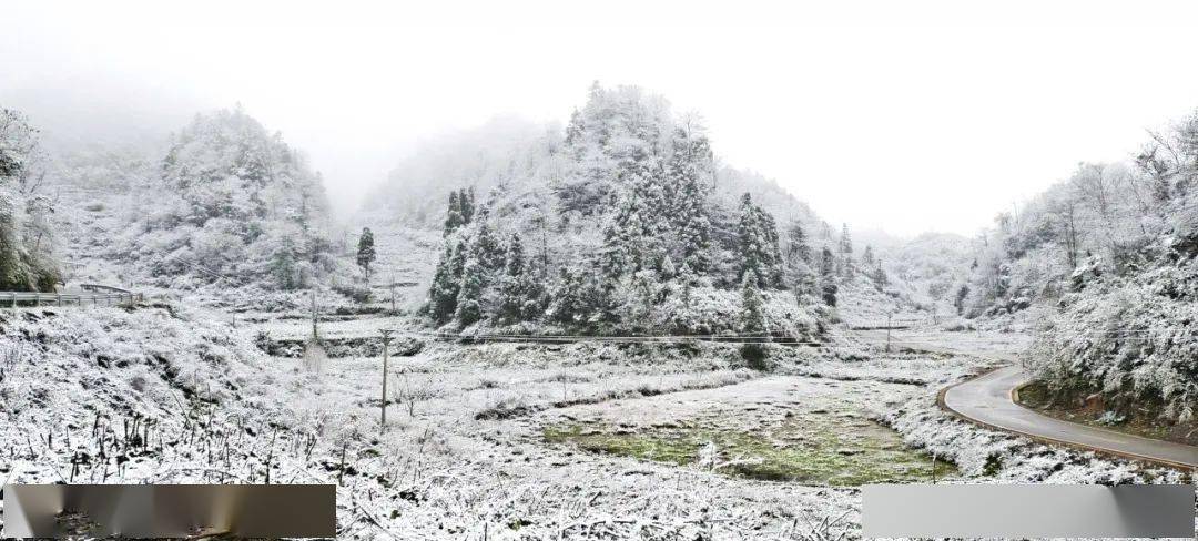 古蔺多地雪景来袭~ 虎头山上冬日盛开的花朵