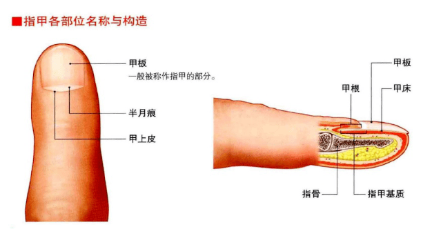 0a1246ec9fd24523bfb7107fd68dbf20.png