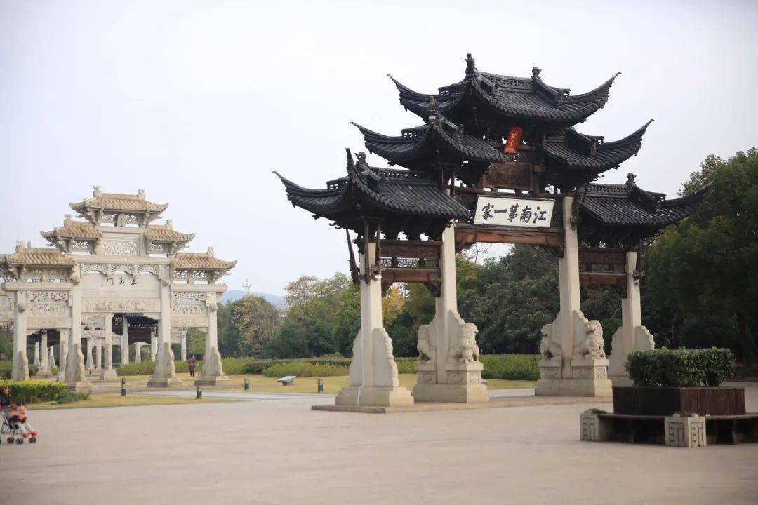 郑义门访精忠柏
