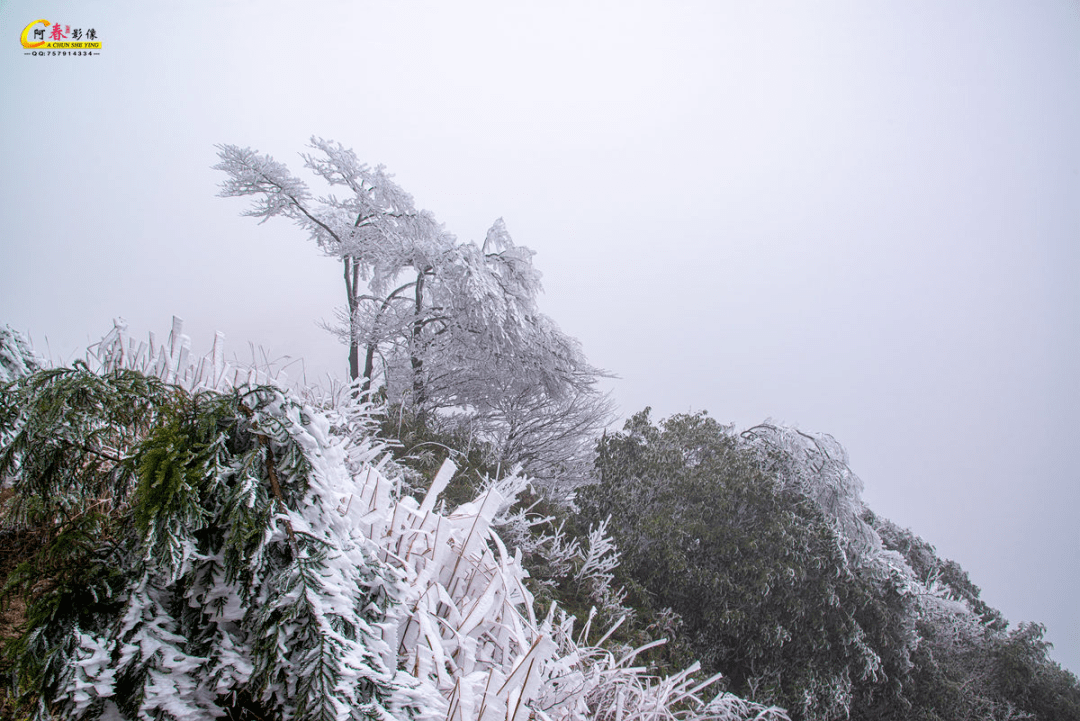 桂林这些地方真的下雪了!多图美景实拍!