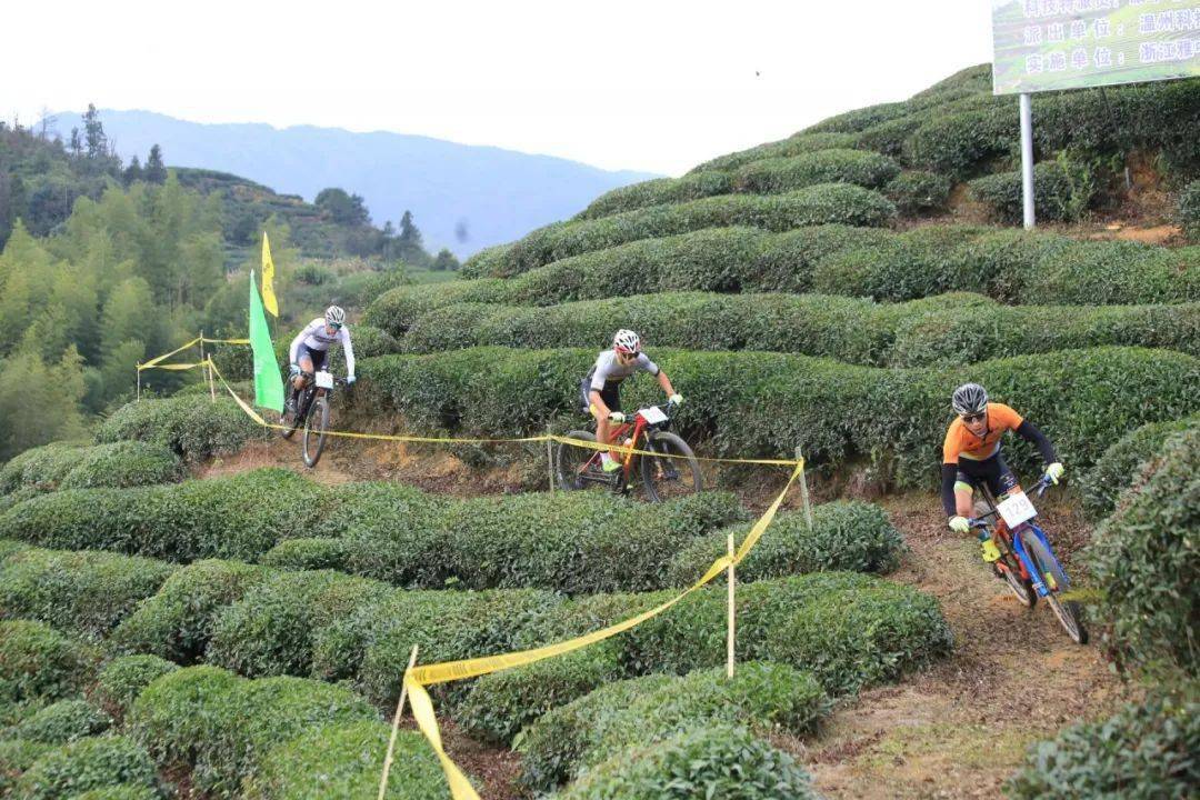 泰顺雅阳GDP2020年_泰顺雅阳美食凤爪