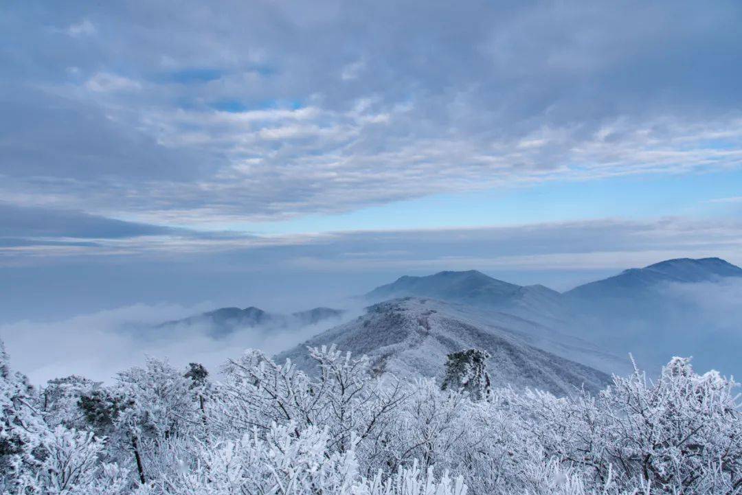 堪比北方雪国!临安这些地方的最新雪景照美哭了